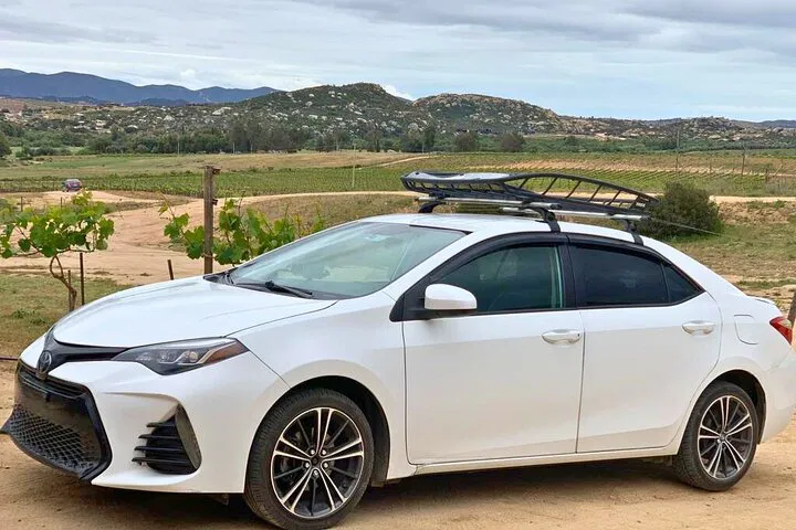 Seamless Baja Transfers: Tijuana, Ensenada, & Valle de Guadalupe