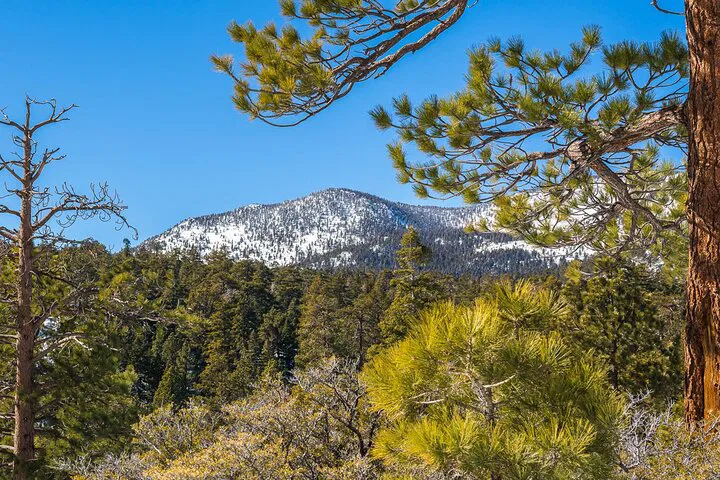 Idyllwild Awaits: 2-Day Camping & Hiking Escape from San Diego!