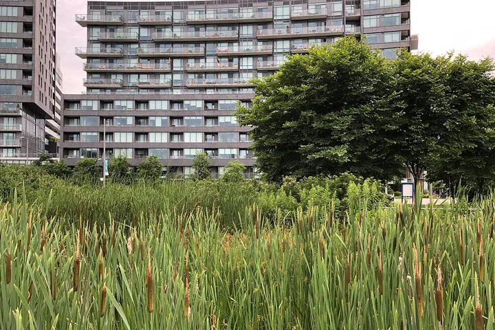 Step Back in Time: Uncover Toronto's Corktown & Distillery Secrets