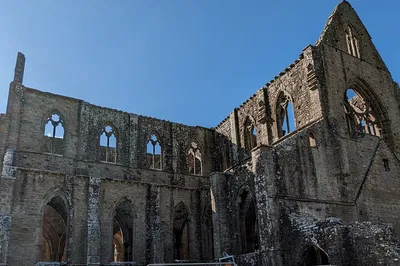 Image 3
