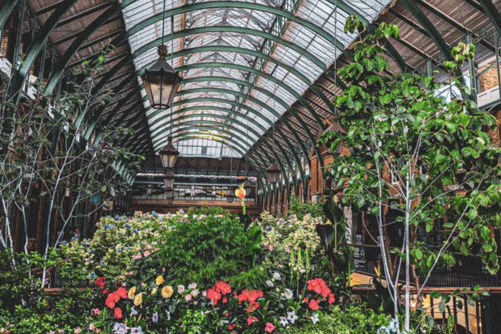 Uncover Covent Garden's Secrets: A Quirky Self-Guided Audio Adventure