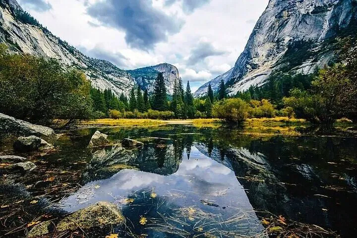 Yosemite Tour from Oakland: See Giants in One Day!