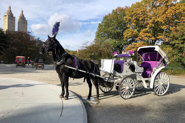 Central Park Horse Carriage Ride: A Timeless NYC Tradition