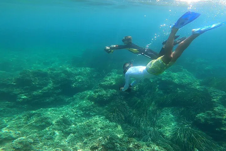 Scooter Snorkeling Adventure: Explore Monaco's Sea Life
