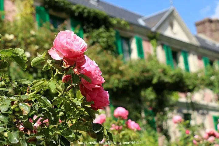 Unveil Monet's Masterpiece: A Private Giverny Day Trip from Paris