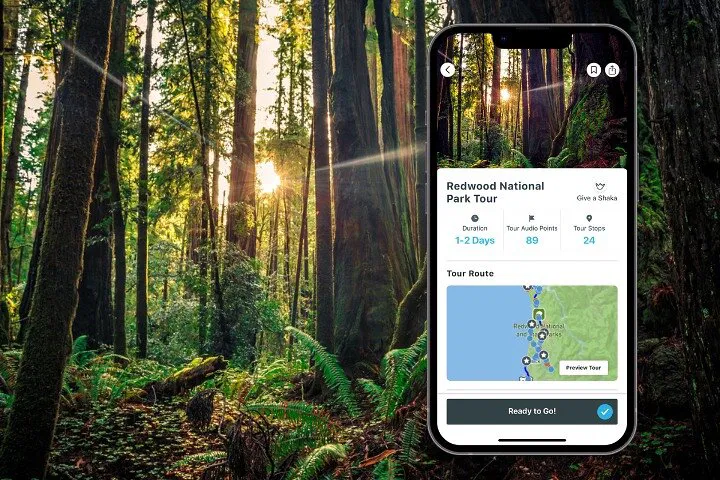 Redwood National Park: Explore Majestic Giants with a Self-Guided Audio Tour