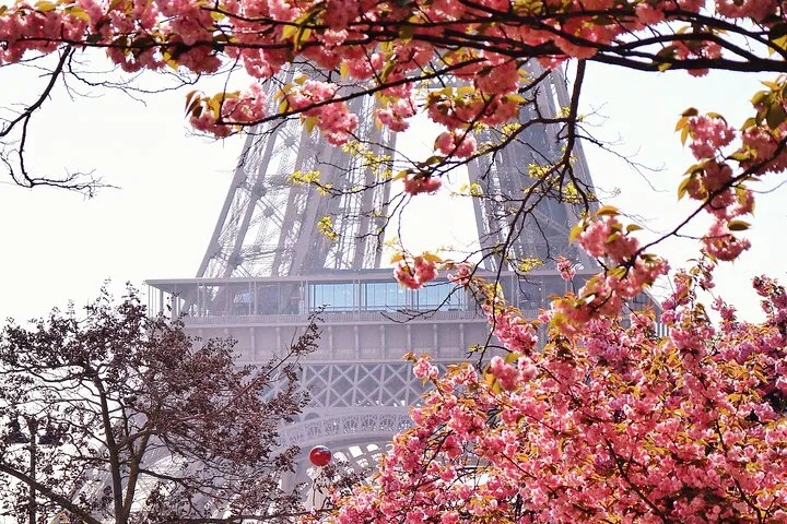 Capture Paris: Personalized Photo Tour with a Pro!