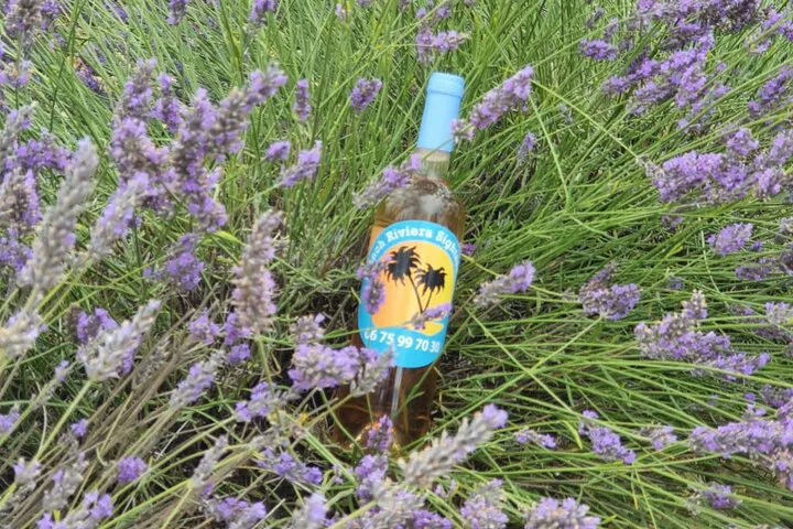 Provence Lavender Tour: Private Day Trip from Nice