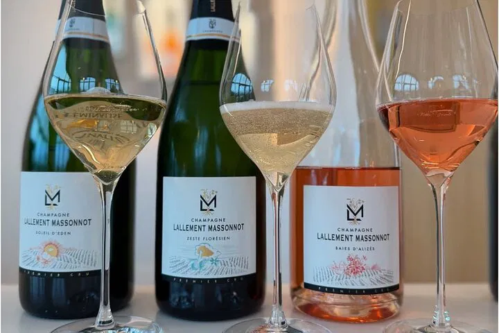 Reims Vineyard Tour: Triple Tasting First Cru!