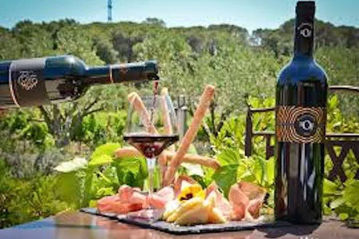 Taste Provence: Wine Tasting & Lunch at Clos des Roses