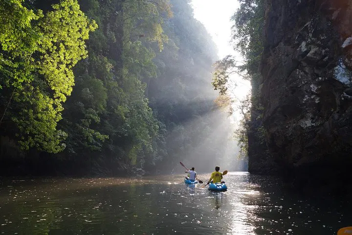 Krabi's Ao Thalane: Kayak Adventure through Mangrove Wonders