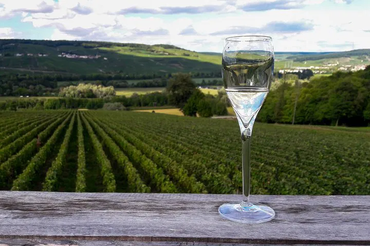 Indulge in Champagne: A Luxurious Private Day Trip from Paris