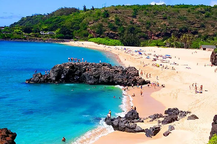 Discover Oahu's Beauty: Circle Island Tour with Turtle Snorkeling!