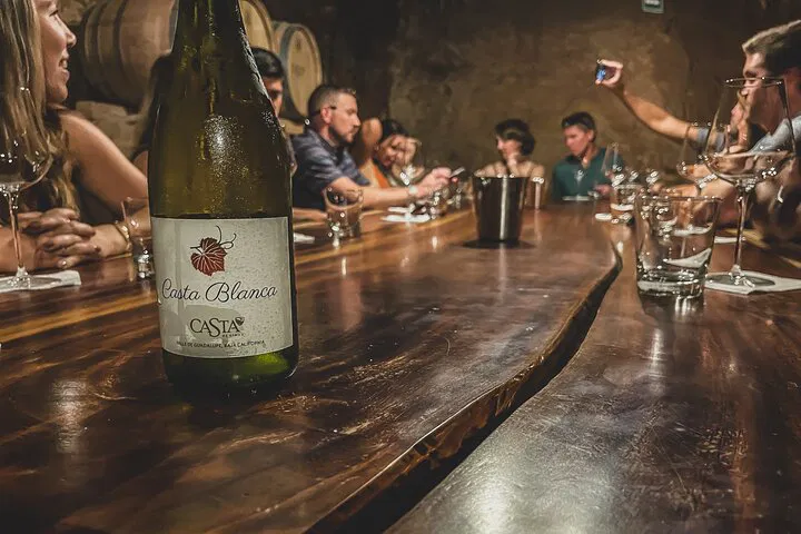 Uncover Hidden Gems: Boutique Wine Tour in Valle de Guadalupe