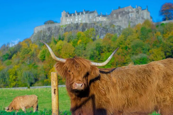Edinburgh Day Tour: Stirling Castle, Loch Lomond & Trossachs