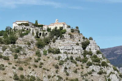Image 3