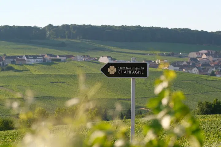 Unveiling Champagne's Secrets: A Half-Day Vineyard Adventure from Epernay