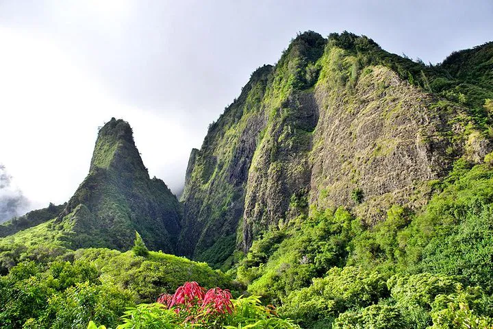 Oahu to Maui Day Trip: Crater, Sips & Island Bites