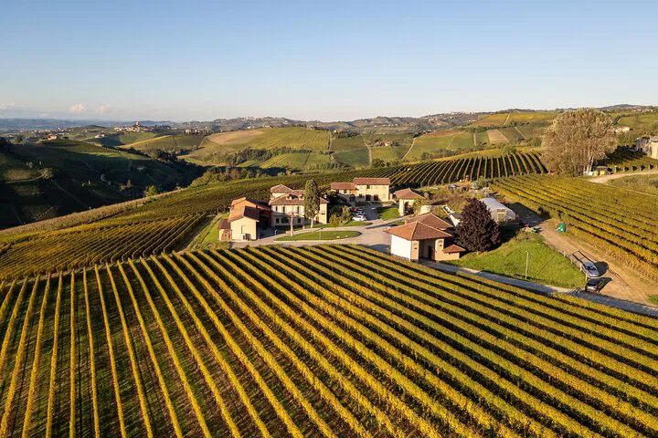 Langhe Wine & Dine: A Piedmontese Culinary Escape