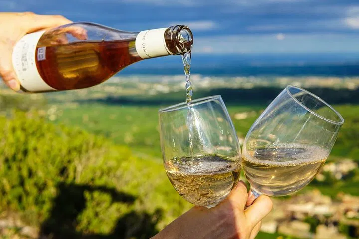 Chablis Wine Tour: A Luxurious Taste of Burgundy from Paris