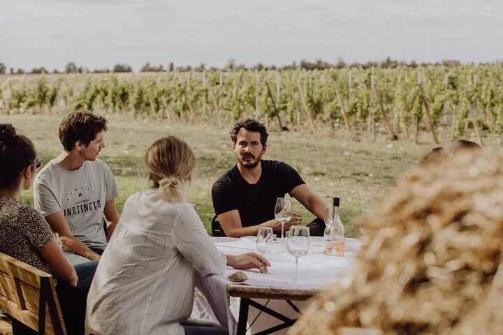 Versailles Vineyard Escape: A Sensory Wine Journey