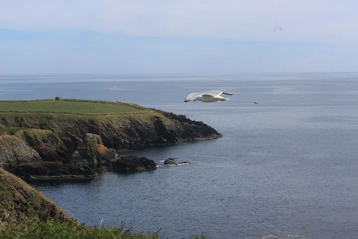 Waterford Private Day Tour: Design Your Perfect Irish Escape