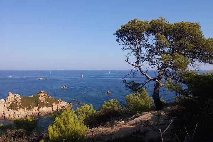 Discover the Gems of St. Tropez: A Coastal Village Adventure