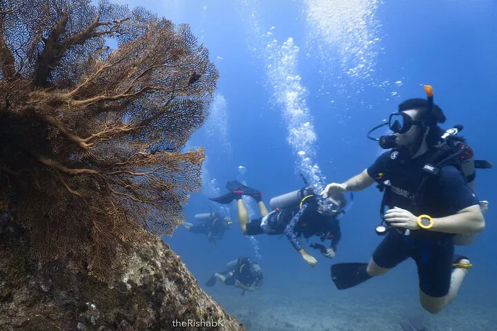 Dive into Racha Islands' Underwater Paradise: Certified Divers Only!