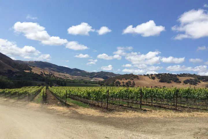 Santa Barbara Wine Tour: Sip & Savor the Valley