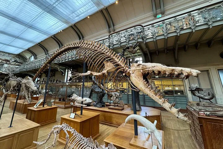 Paris's National Museum & Garden: A Biodiversity Adventure Through Time