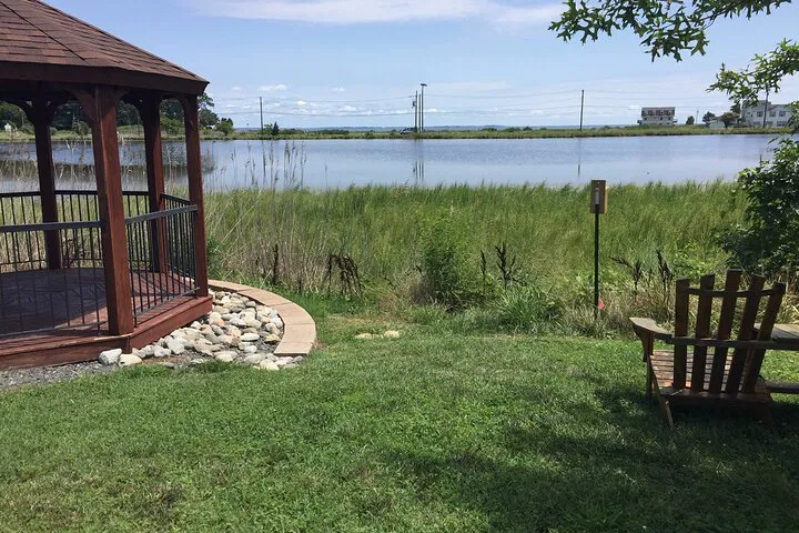 Discover Maryland's Hidden Gems: A North Beach Guided Walking Tour