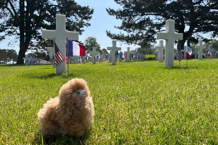 Normandy D-Day Beaches: A Private, Reflective WWII Tour