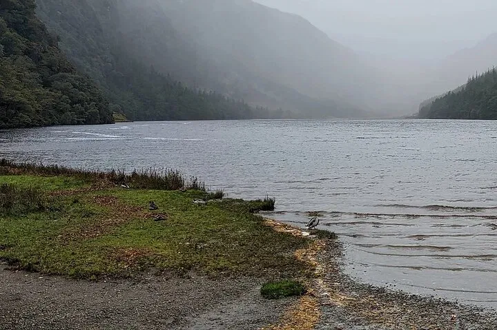 Unveiling Ireland's Beauty: A Bespoke Wicklow, Glendalough & Powerscourt Adventure