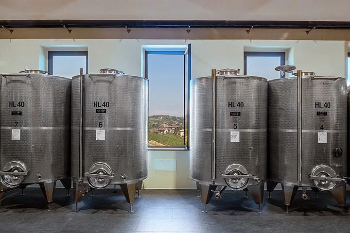 Roero Wine Tour: Taste Piedmont's Hidden Gems with Family Winemakers