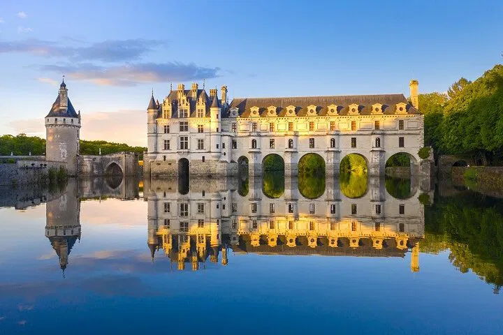Unveiling Loire Valley's Majesty: A Da Vinci Castle Private Tour from Paris