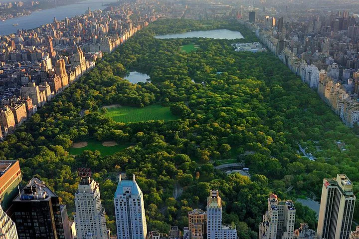 Glide Through Central Park: A Relaxing Pedicab Adventure