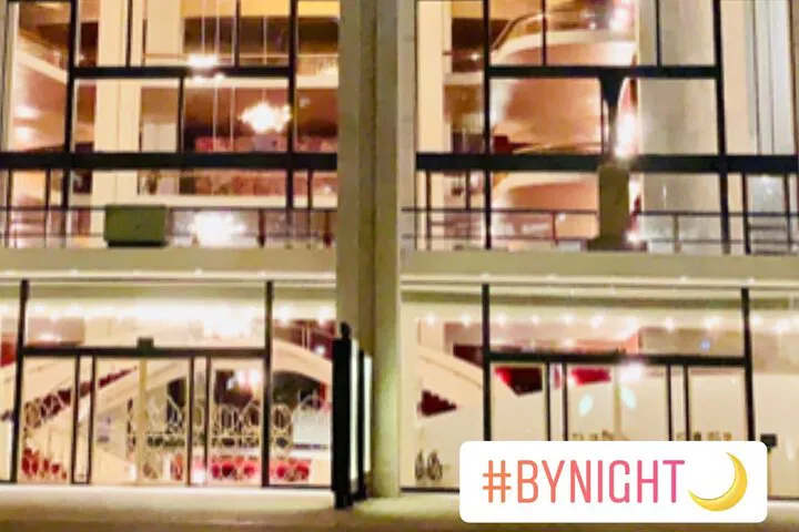 RennyTours' By Night: Unveiling NYC's After-Dark Magic (Up to 5)
