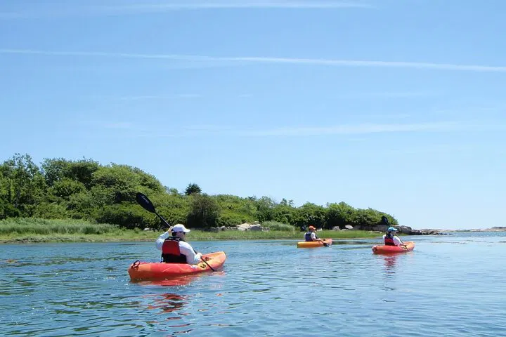 Kayak & SUP Rental: Explore Biddeford Pool