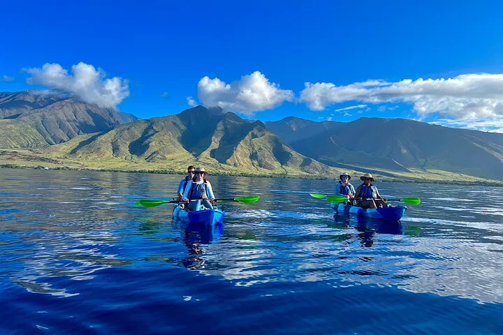 Maui Kayak, Whale Watch & Snorkel Adventure