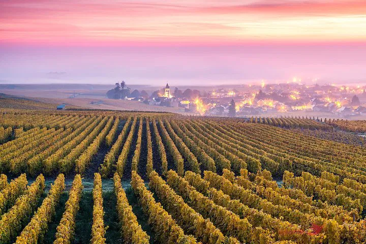 Indulge in Champagne: A Luxurious Private Tour to Épernay