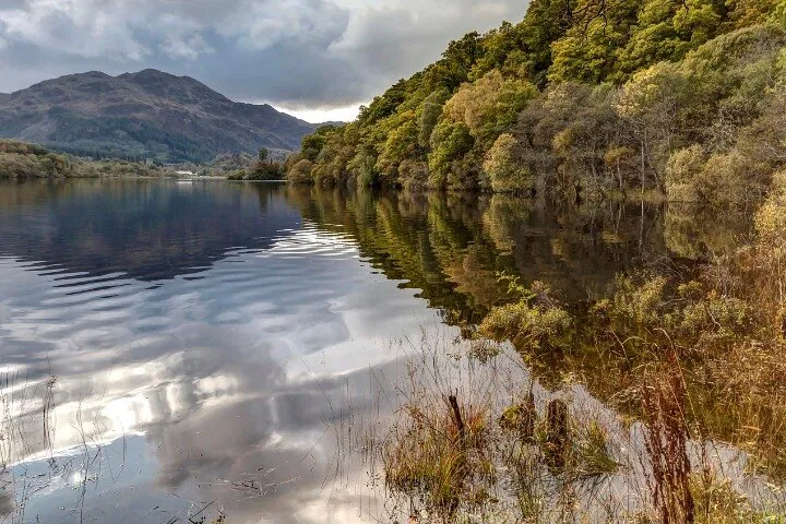 Unleash Scotland's Beauty: Loch Lomond & Trossachs Adventure Drive
