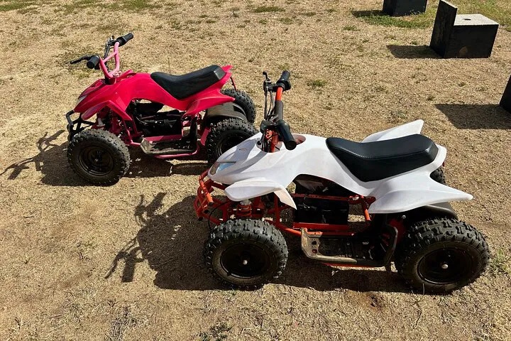 Oahu ATV & Farm Animal Adventure: Kid-Friendly Fun!