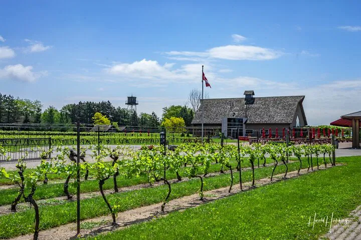 Uncork Niagara: Private Wine Tour Adventure!