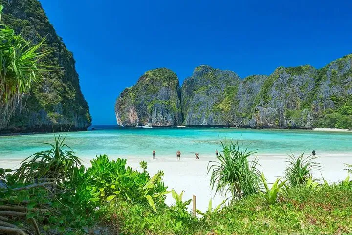 Phi Phi & Maya Bay Speedboat Tour from Phuket