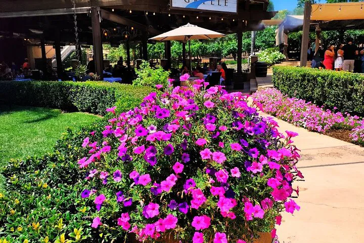 Temecula Valley Wine Tour: Taste California's Finest from Los Angeles