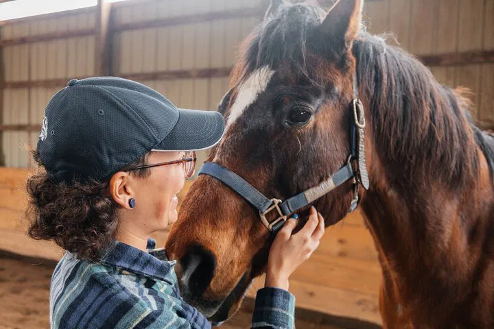 Unwind & Connect: Hands-On Horse Relaxation in Niagara