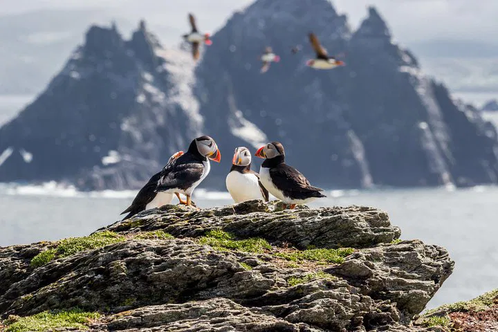 Unforgettable 7-Day Ireland Island Tour: Dublin Start