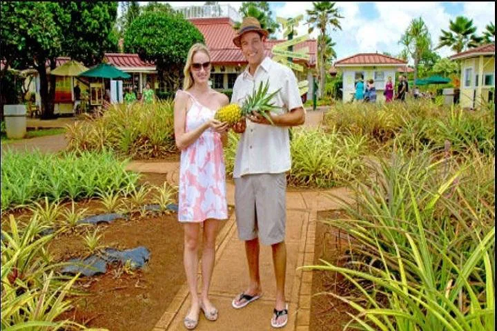 Oahu's Iconic Trio: Pearl Harbor, Dole & Polynesian Cultural Center Adventure