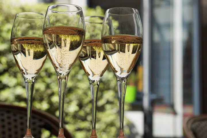 Champagne Dreams: An Exclusive Private Tour from Paris