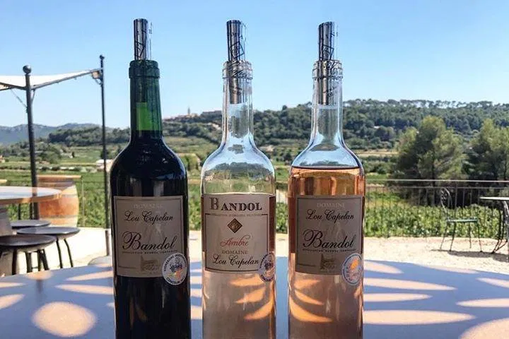 Bandol & Cassis Wine Tour: Taste of Provence